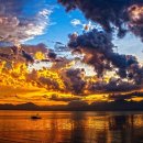 미숙이네 이미지