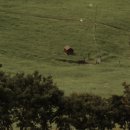 동화속풍경 이미지