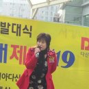 재난재해제로119