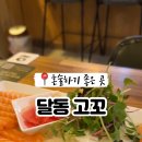 고꼬