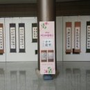 백운아트홀 이미지