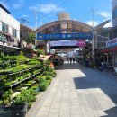 주문진약국 이미지