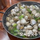대전 여행 칼국수 맛집 오씨칼국수 주말 웨이팅 후기