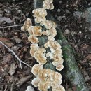 작은막골 이미지