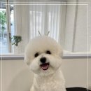 코트니룸 이미지