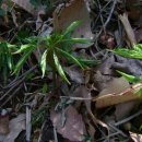 새봄농장 이미지