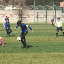 고성군종합운동장 축구장 쿠키뉴스
