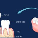 선치과 이미지