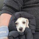 해남로 | 26년 설날 일상기록 2(왕사남후기,명절일상)