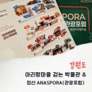 강원 정선 가볼만한곳 아리랑마을 걷는 박물관 ANASPORA 관광포럼 테마여행