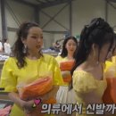 주식회사 인사이틴