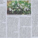 오피니언라이브