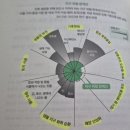 숲 생태지도사 심화(초등 교과 융합 프로젝트) | 더 늦기 전에 시작하는 생태환경사수업