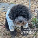 숙녀농장 | 울산 애견운동장 삼형제농장 프라이빗한 모임장소로도 제격