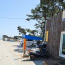 관덕리 3층석탑 화장실 | 경주 동해안 드라이브 코스 역사에 꽂힌 감은사지 삼층석탑부터 문무대왕릉 주상절리 자차 투어