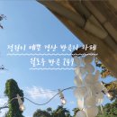 윌로우반곡247 이미지