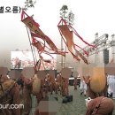 (주)들불