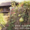 광산구-111 이미지