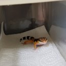 한신트레이딩 이미지