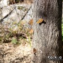 도화역사 이미지