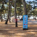 몽산포오토캠핑장 이미지