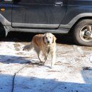 염치농장 이미지