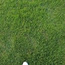 골프존카운티구미 이미지