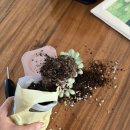 부천시민학습원 | 플리마켓 취향발견 부천시민학습원 다녀온 후기