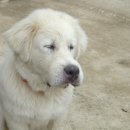 상군농장 이미지