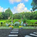 알지니포레스트 이미지