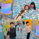 품안에태권도장 이미지