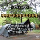양양캠프장 송화가루와 함께하는 우중캠핑 D존 데크 후기 +송전해수욕장