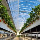 김포 자연 농장 이미지