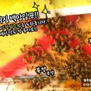 요셉농장 이미지