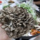 태미농장 이미지