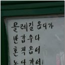 올레 1코스(신흥초교→광치기해변) 올레..그 마음으로 걷는 길 이미지