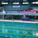 스타트포인트 | 제15회 대구광역시배 전국마스터즈 수영대회 1년차 수린이 참가후기(접수 스타트연습 준비물 포함)