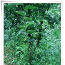 놀부농장 이미지