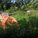 수 그린웨이 이미지