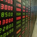 코스믹바이오 이미지