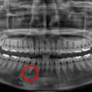 양정베스트치과의원 이미지
