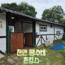 땡수네