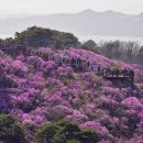 고이 이미지