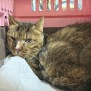 봉곡동042 이미지