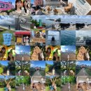 청파약국 | [In Jeju2-2] No Pain, No Gain