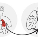 주식회사노바셀테크놀로지 이미지
