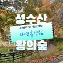 삼청동비 | 전북 임실 성수산 왕의숲 자연휴양림 : 별관 103호 후기
