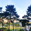 원당산공원 이미지