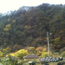 산마루황토 Daum카페