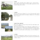 제326차 행복걷기 [서울숲 응봉산 개나리 걷기] 공지 이미지